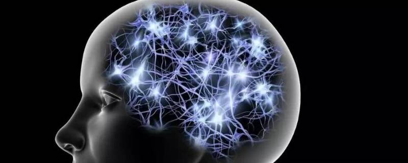 什么是液体能力 什么是液体能力(液体智力-九图集