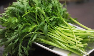 茼蒿为什么是苦的 茼蒿为啥苦