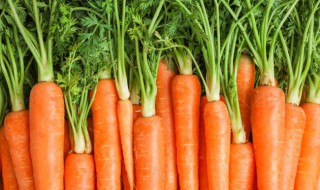 沙窝萝卜含糖量高吗(血糖高吃沙窝萝卜吗?)-九图集