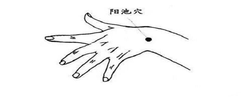 阳池准确位置图和作用 阳池准确位置图和作用及功效