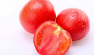 怀孕可以吃西红柿吗 刚刚怀孕可以吃西红柿吗