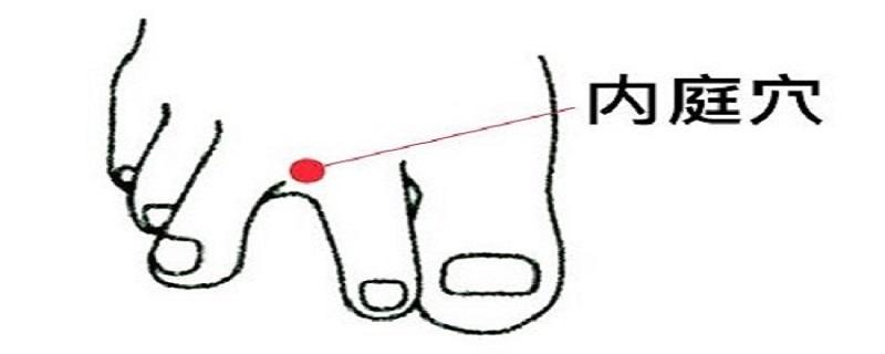 按摩内庭的功效和作用(按摩内庭的功效和作用有副作用)-九图集