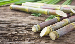 甘蔗和马蹄一起煮有什么功效(马蹄和甘蔗煮水的做法)
