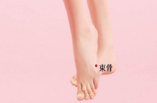 束骨的准确位置图 束骨的准确位置图片及作用