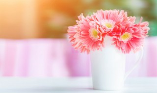 鲜花一般能放几天（鲜花能存放几天）