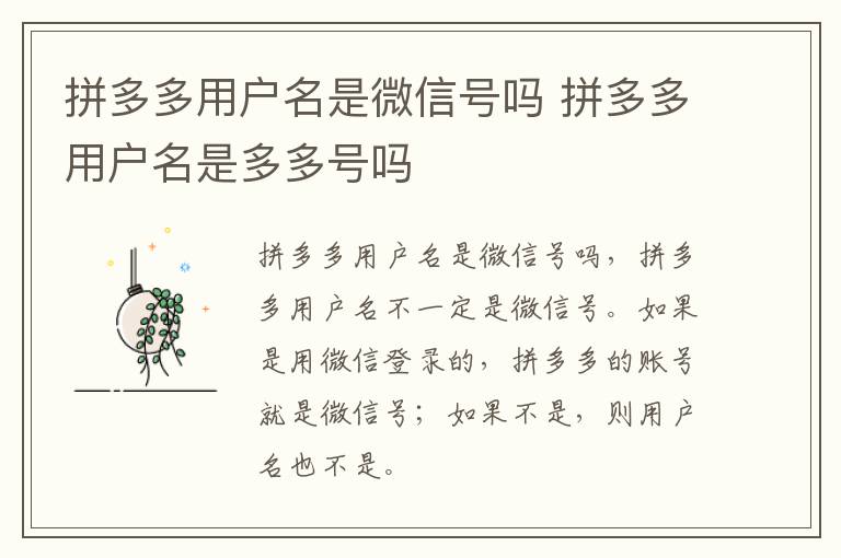 拼多多用户名是微信号吗 拼多多用户名是多多号吗-九图集