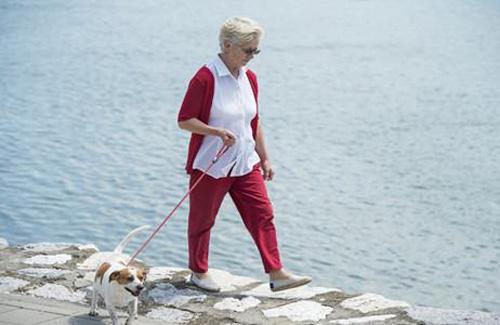 散步能降血压吗(散步能降血压吗女生)