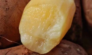 生吃雪莲果的功效与禁忌（生吃雪莲果的作用）