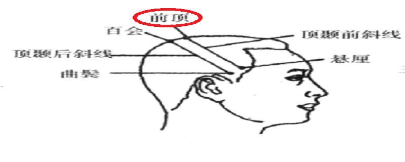 前顶的准确位置图作用 前顶的准确位置图作用功效-九图集