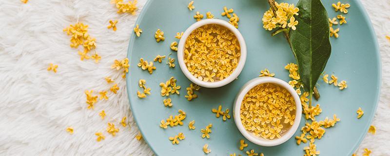 体寒湿气重的女人喝什么茶（体寒湿气重的女人可以吃什么食物）-九图集