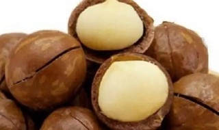 夏威夷果凉性还是热性 夏威夷果是寒性的还是温性的