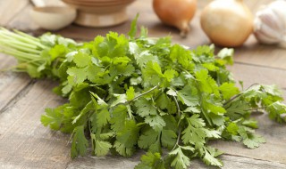 喝香菜水的功效与作用（喝香菜水有什么作用与功效）-九图集