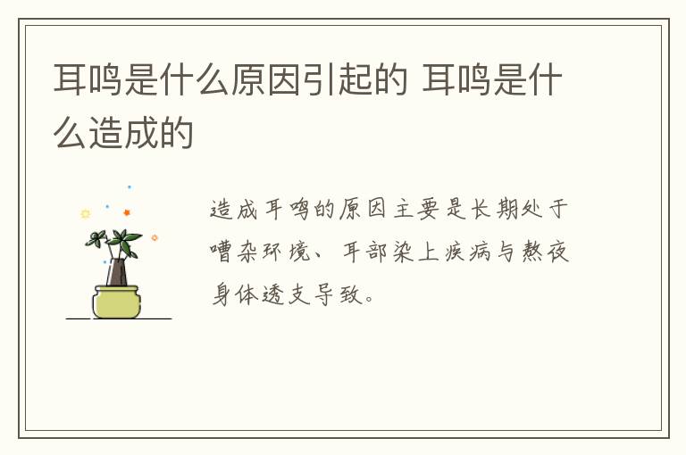 耳鸣是什么原因引起的 耳鸣是什么造成的-九图集