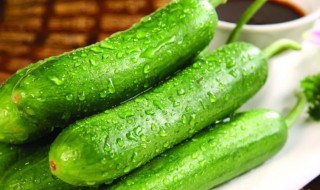 小青瓜的营养价值 青瓜有哪些营养价值