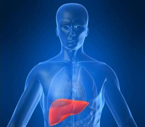 注意啦!这些都是伤肝行为!!不得不防