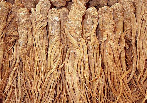 月经提前能喝四物汤吗 月经老是提前可以喝四物汤吗?