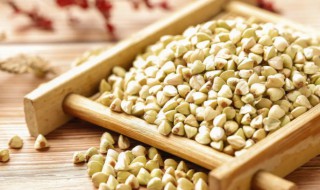 苦荞麦的营养价值（苦荞麦的营养价值及在食品中的应用英文翻译）