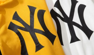 ny中文叫什么牌子 ny中文是什么牌子-九图集