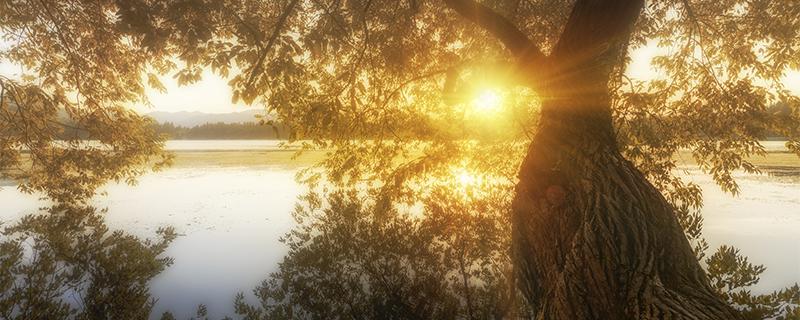 三伏过后还热吗 三伏之后还热吗