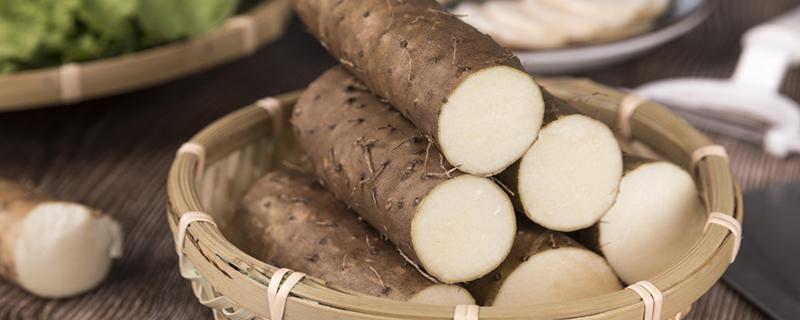 所有的山药营养价值都一样吗 山药子和山药的营养价值一样吗-九图集