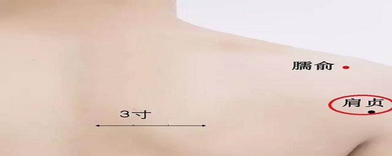 肩贞的准确位置图视频 肩贞准确位置图片-九图集