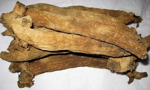 清热凉血的中药有哪些 清热凉血中药材有哪些-九图集