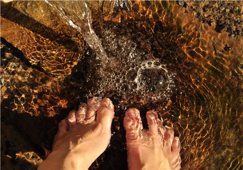 三伏天用艾叶泡脚好吗 三伏天用艾叶泡脚好不好-九图集