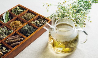 梦花泡水喝有哪些功效 梦花泡水哪些人不能喝