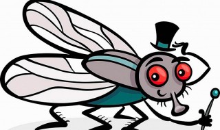 蛋糕面包夏天很多蚊虫怎么办(面包店蚊虫怎么去除)