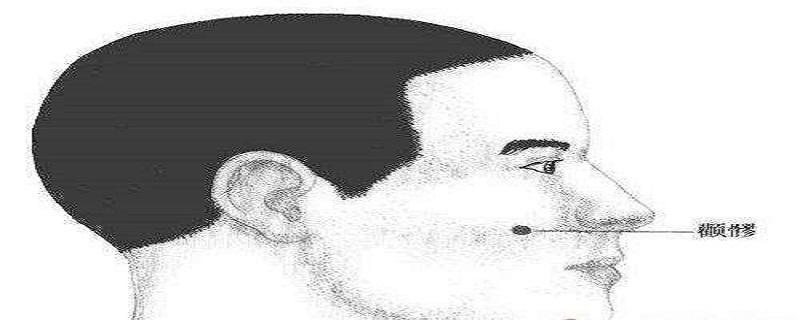 颧髎的定位和主治 颧髎的准确位置图和作用的准确位置图