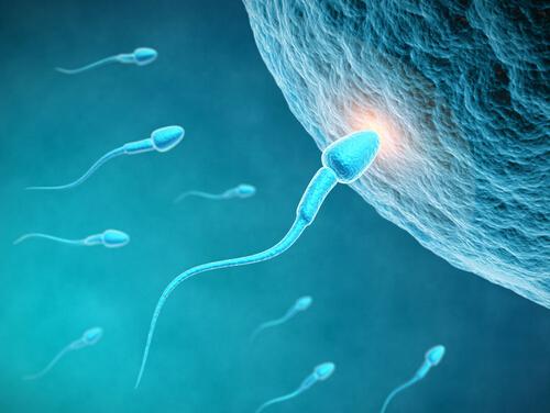 捐精有什么神秘之处-九图集