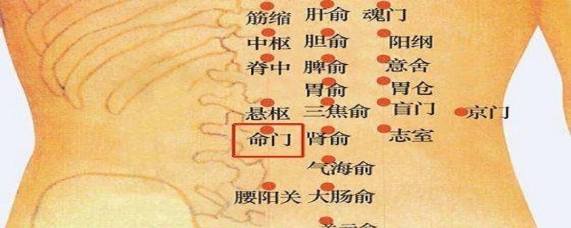 命门的针刺方法(命门针灸注意事项)-九图集