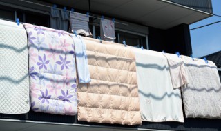 羊绒被可以晒太阳吗 羊毛被能在太阳底下暴晒吗-九图集