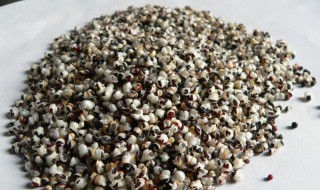 王不留行的营养价值 王不留行的药用价值-九图集