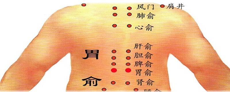 胃俞的准确位置怎么找 胃俞的准确位置图片图准确位置图-九图集