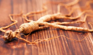 甘肃丹参的营养价值(丹参有啥药用价值)