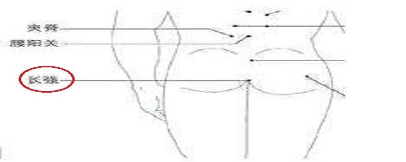 长强的针刺方法 针刺长强能治疗哪些疾病