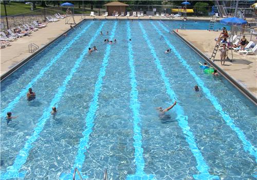 每天游泳1000米一个月能减多少(每天游泳1000米一个月能减多少脂肪)-九图集