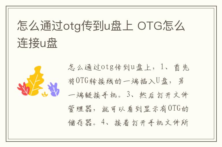怎么通过otg传到u盘上 OTG怎么连接u盘-九图集