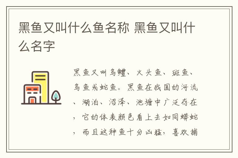 黑鱼又叫什么鱼名称 黑鱼又叫什么名字-九图集