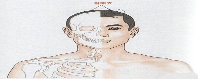 当阳的准确位置图和作用 当阳的准确位置图作用功效-九图集