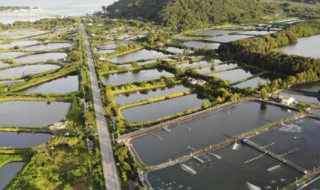 人工水蛇如何养殖 蛇的人工养殖-九图集