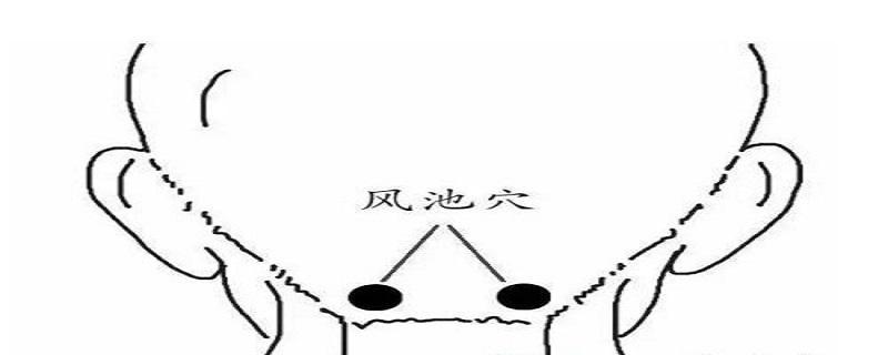 风池针刺方法 风池针刺手法-九图集