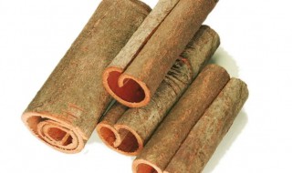 肉桂的营养价值(肉桂的营养价值及功效)