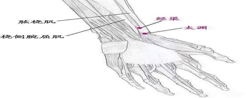 经渠的准确位置图视频（经渠的准确位置图片视频）