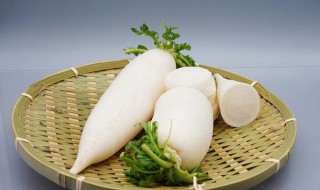 生姜萝卜香菜水的功效(萝卜香菜煮水的功效)