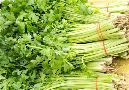 吃什么对牙好 吃什么对牙好最有效-九图集