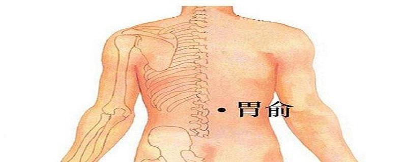 胃俞的按摩方法 胃俞怎么按摩-九图集