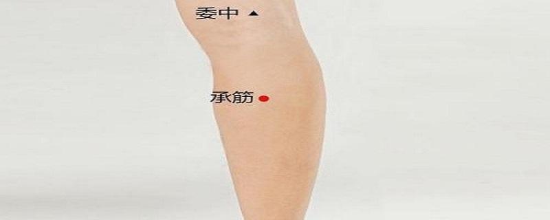 承筋的准确位置图视频 承筋的准确位置图 图解