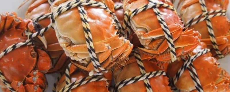 11月吃什么蟹 11月份吃什么蟹-九图集
